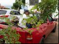itapolis   prefeitura no seu bairro 91 20200204 1383764182