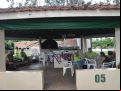 itapolis   carnaval cci 25 02 20 24 20200228 1533323759