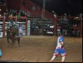 11 05 Rodeio  144 