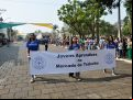 Desfile  235 