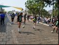 Desfile  264 