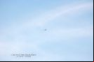 I Encontro de Paraquedistas de Itápolis - Aeroclube 14-12-2014